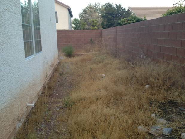 The yard of a foreclosed home at 5572 Airview Court is filled with weeds Wednesday, June 24. By the next day, the weeds had been cleared. 