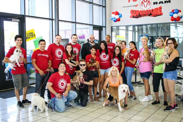 Towbin Dodge hosted an animal adoption drive with the Nevada SPCA that raised $2,000 for the charity and helped find homes for dogs.